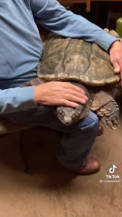 This is the most fascinating thing I’ve ever seen