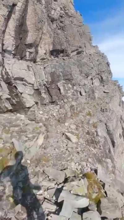 Rare footage of our parents going to school back in the day ( colorized) 