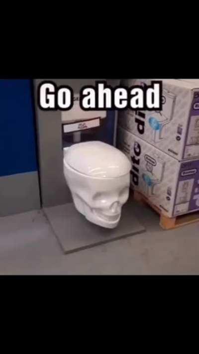 Taking a shit downtown with my skelly toilet (Praise spez)