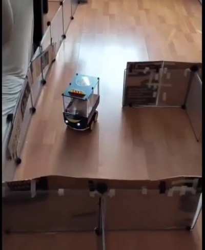 Rat learned to drive and Navigates through an obstacle course 