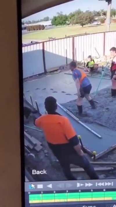 Oh look, new friends!