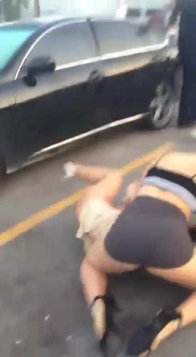 NSFW: Lady fight!