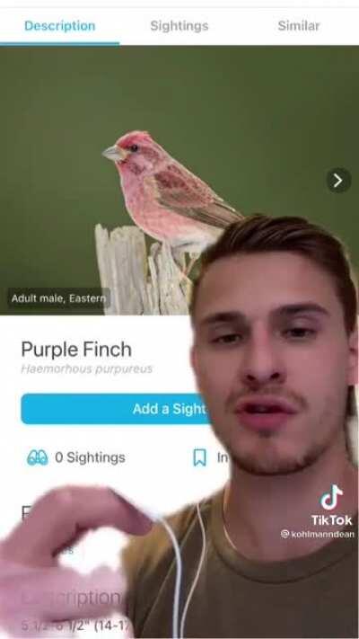 Now that's some TALENT...the whistle blower