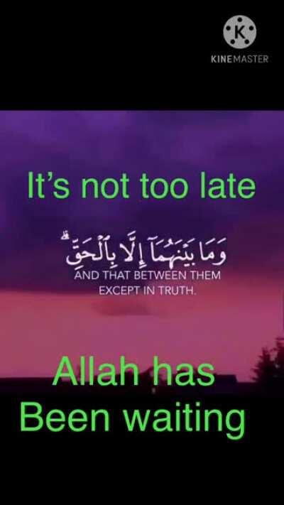 STOOPPPPPPPPPPP!!!!!!!!!!!!