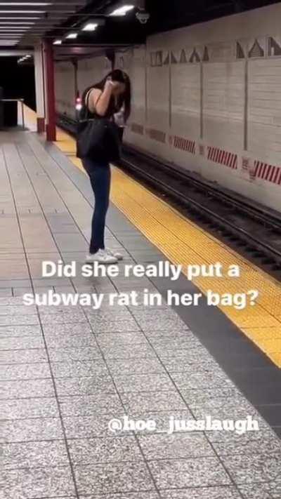 she put a rat in her bag!!!!!!!