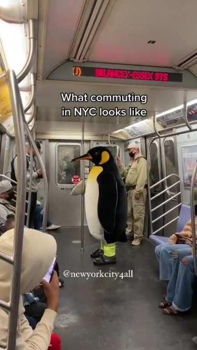 Least proud linux user