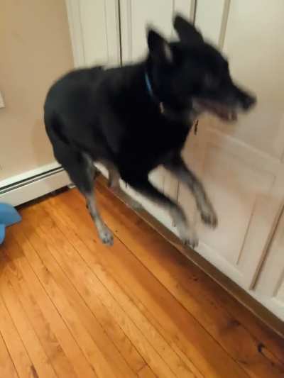 Are you.............. Hungry?