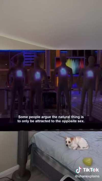 🎶bill nye the ally guy🎶🏳️‍🌈🏳️‍🌈🏳️‍🌈🏳️‍🌈