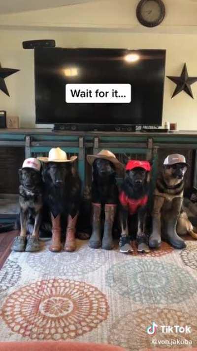 woof🤠irl