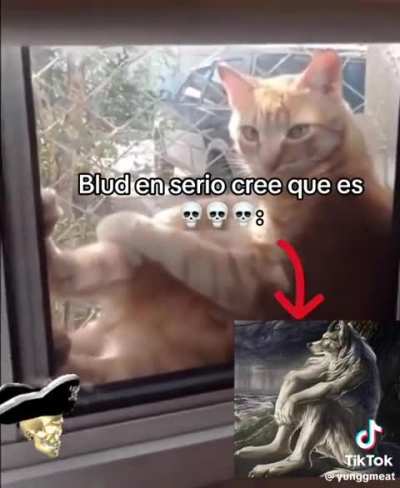 Bruhhh, enserio cree que es ☠️: