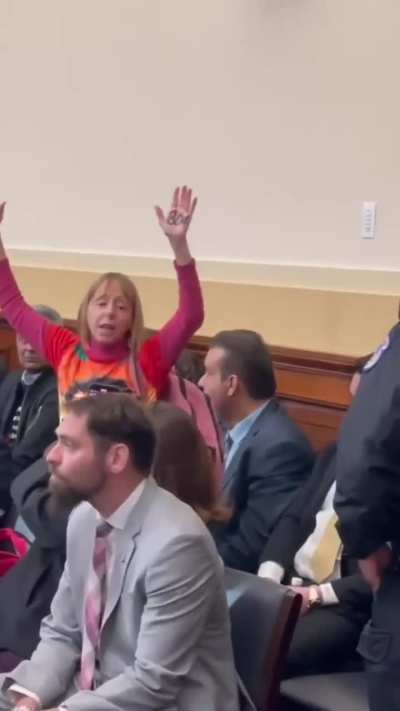 Pakistani Americans Protest During Congressional Hearing on Democracy in Pakistan, Disagreeing with Donald Lu's Claims on Cypher and Imran Khan