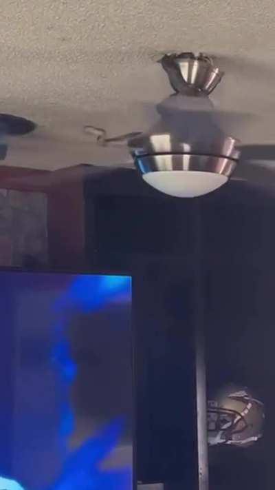 WCGW watching a snake slide down your ceiling fan