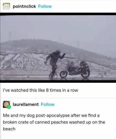 the sum of human experience