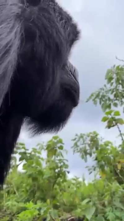 Praise that steady hands like you should