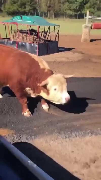 The best assistant ever 🥰