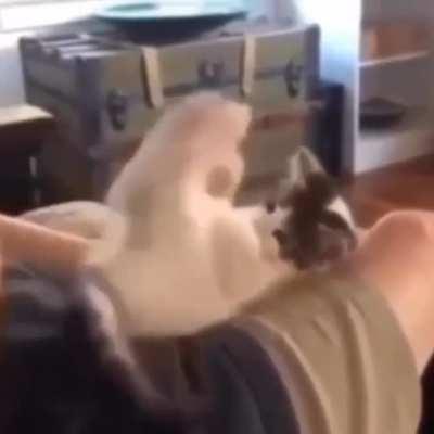 but here’s the kicker