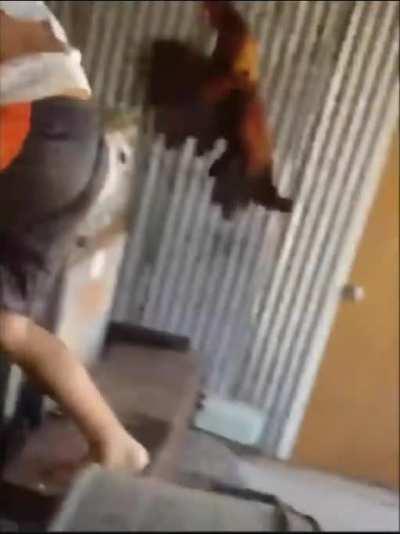 Who's the chicken now b*tch??