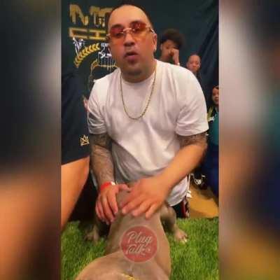 dog breeding goes wrong