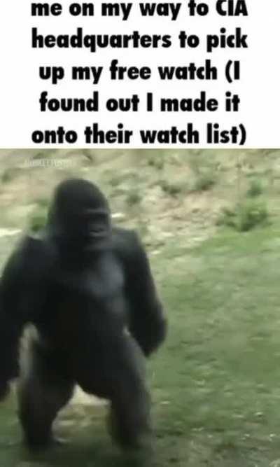 love some free stuff