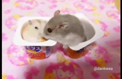 Shouldn't have done that