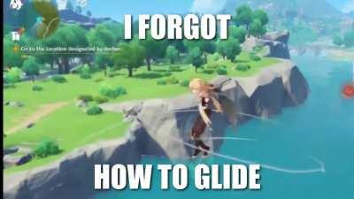 Shouldn't have skipped those wind glider lessons