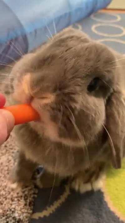 Gary is enjoying one of his favorite hobbies: EATING (sound is available on this one)