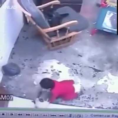 Cat blocks and prevents a baby from crawling to a fatal fall down some stairs