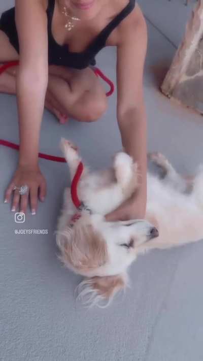 MBB - Another lucky dog