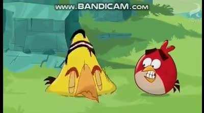 An unexpected meme appears!