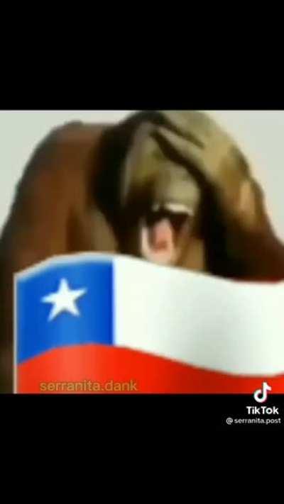 XDDDDDDDDDDDDDDDDDDDD