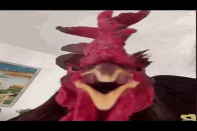 If Pomni never showed up, how drastically different would episodes 1-4 be? (gif unrelated)