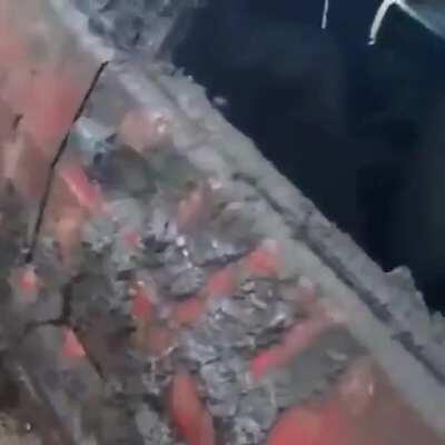 Призрачный гончик. Чудесное спасение...