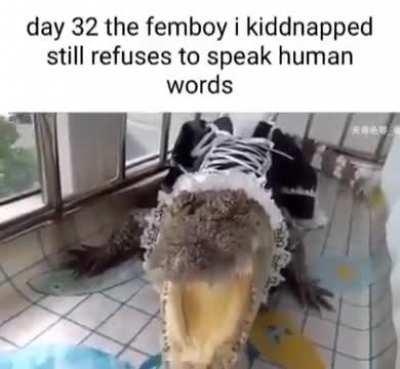 heil spez praise spez