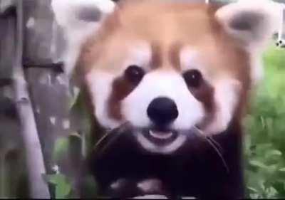 He’s got such a big smile!