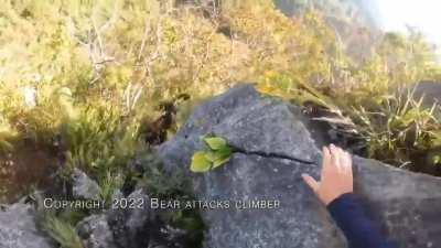 Rock Climber Fights Off Bear Attack