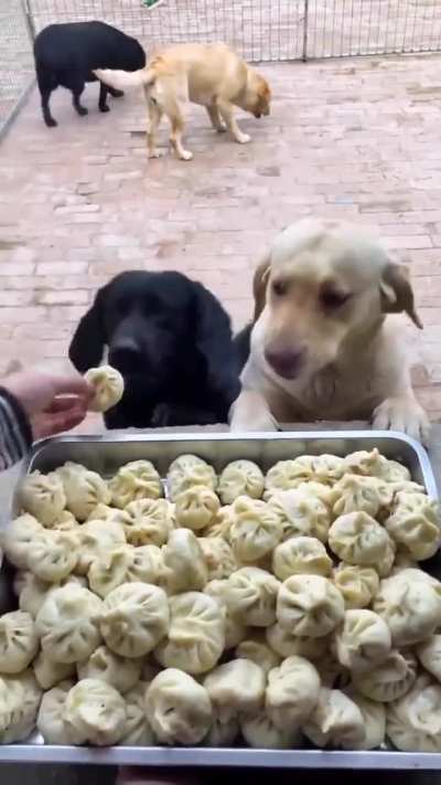 I can't stop watching this