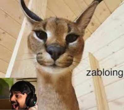 pretty tame compared to some of the other shit on this sub, but ye