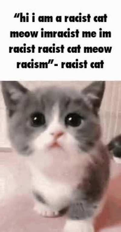 Racism cat introduces themselves to an all-black school