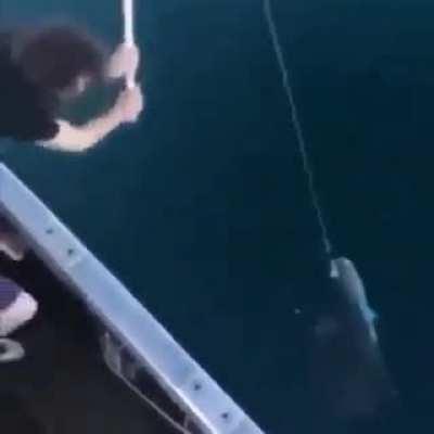 Viva Rusia hermanos míos