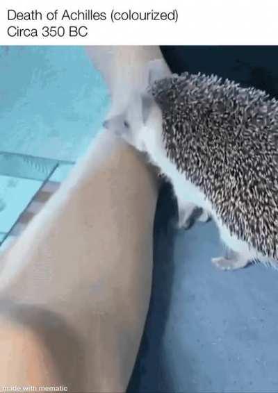 Graphic scene from the Trojan war. Not for the faint of heart