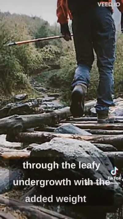 David Attenborough observing vegans in their natural habitat 