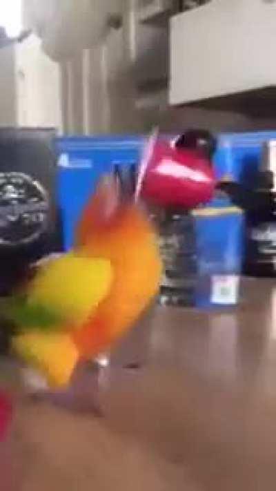 Doa precisa de um desse