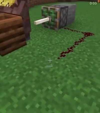 Everyone when they see Ashleys thighs 👌lol