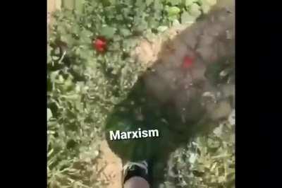 Found this on twitter