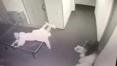 Taking selfie on a ping pong table