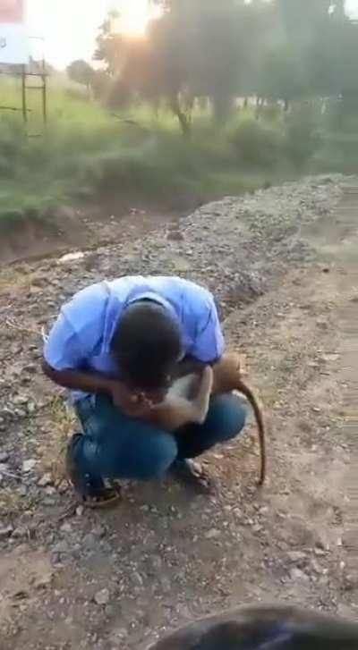 Chad uncle saving a 8 month old macaque by resuscitating it.