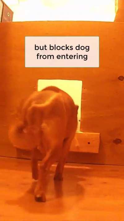 Indian defense mechanism