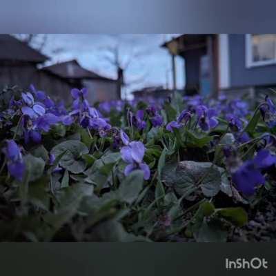 Hi, Reddit! This is how an ordinary Ukrainian village dresses up in spring. You can go to any village and see such pictures (except for the eastern and southern regions)