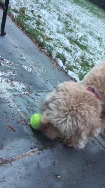 His ball froze to the ground and he didn’t understand why he couldn’t grab it