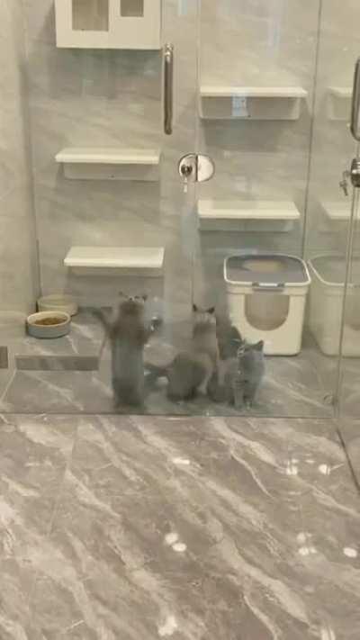 Glass cleaning service at home